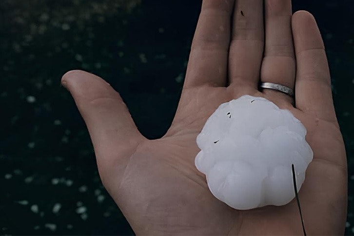 Hand holding hail